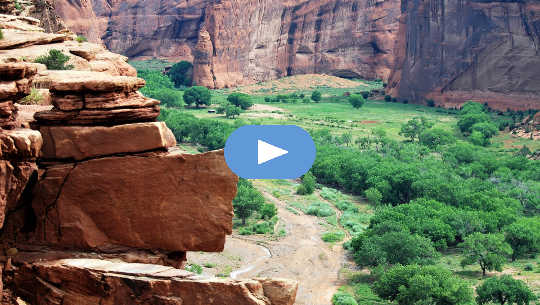 My Mountain Lion Experience in Canyon de Chelly: Nightmare or Spirit Guide? Canyon de Chelly