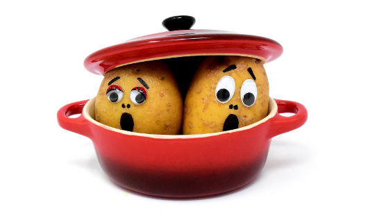 Survive and Adapt: 8 Keys to Career Survival&nbsp;in the Age of Acceleration