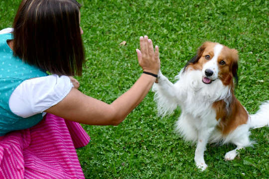 Today's Inspiration: September 22, 2022 a dog giving a young girl a "high-five"