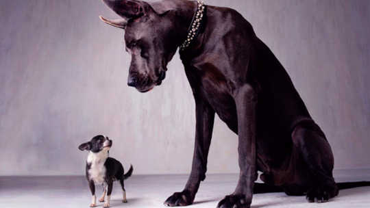 self confidence vs overconfidence 2 13