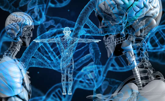 8 Pillars of Brain Health by a Brain Doctor human figure and brain