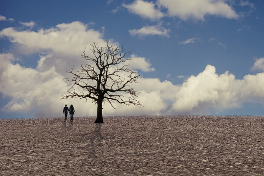 Reconciling the Sacred Feminine and Sacred Masculine a man and woman holding hands in a barren field with a barren dried out tree