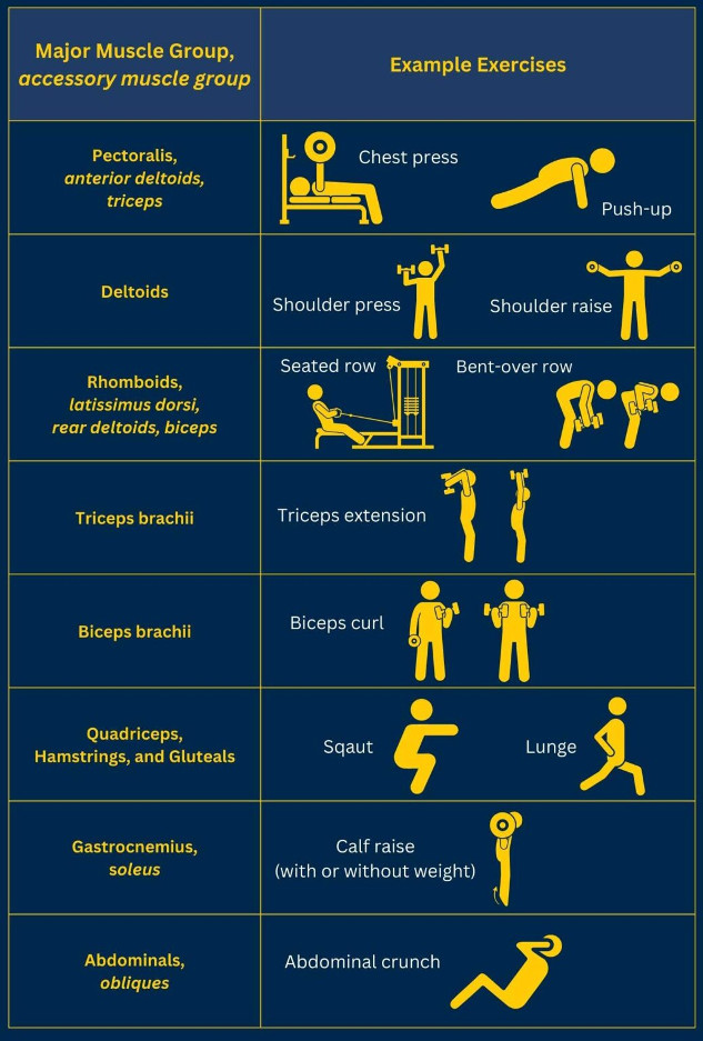 Resistance Training: The Secret Weapon Against Heart Disease 0njvb5ol