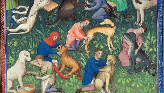 Dogs of Yore: A Glimpse into Medieval Dog Ownership q36vqjht