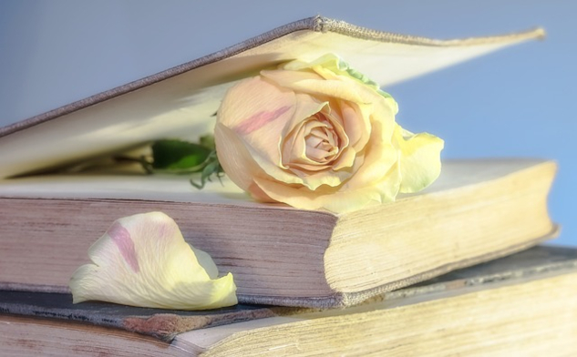 Beyond Roles and Attachments: Love as the Source of Bliss a fresh yellow rose in the closed pages of an old book