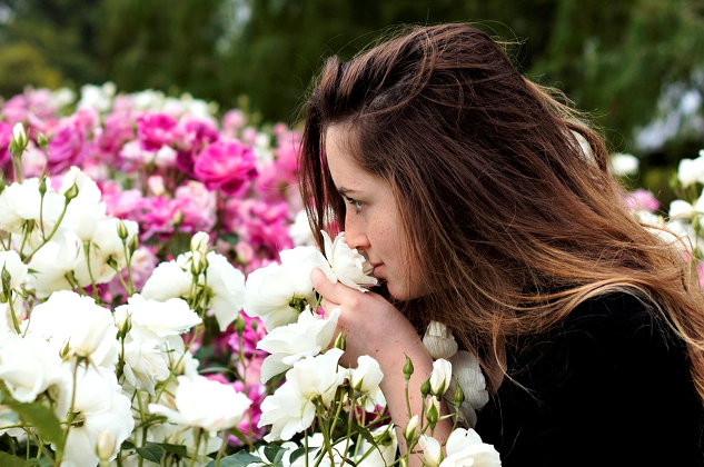 How Does Your Sense of Smell Compare to Your Dog or Cat? a woman smelling a bush of roses