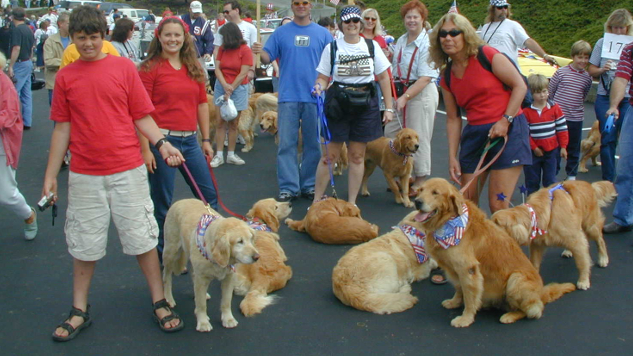 Love Wins: A Blue Ribbon for Love Golden Retrievers in a July 4th parade