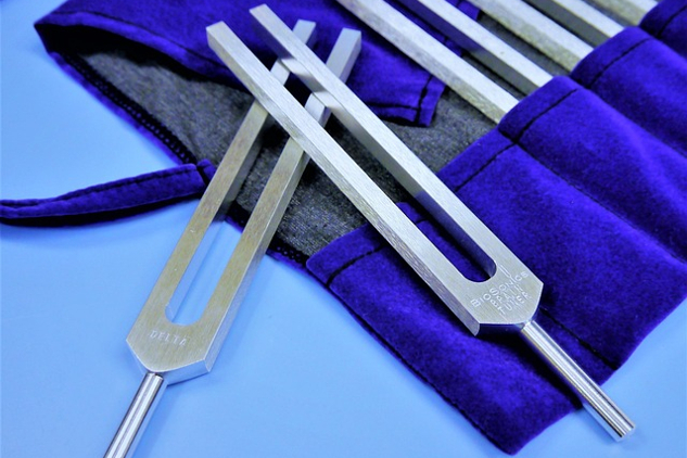 Are Humans Magnets or Tuning Forks? set of tuning forks