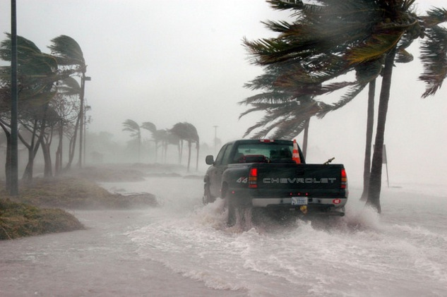 a truck and a palm tree and hurricane speed winds