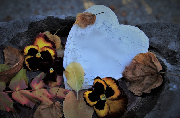 a white stone shaped like a heart surrounded by a variety of flowers