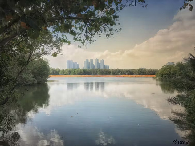 Why Transformative Change is Essential for Climate and Wildlife 8m8yij1f