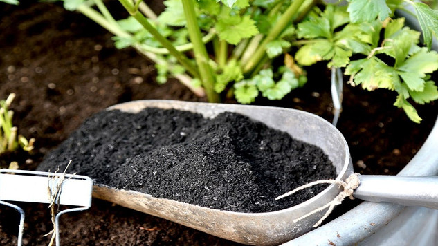 Ancient Wisdom for Modern Gardens: The Biochar Advantage using biochar in garden 1 14