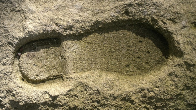 a shoeprint in the sand