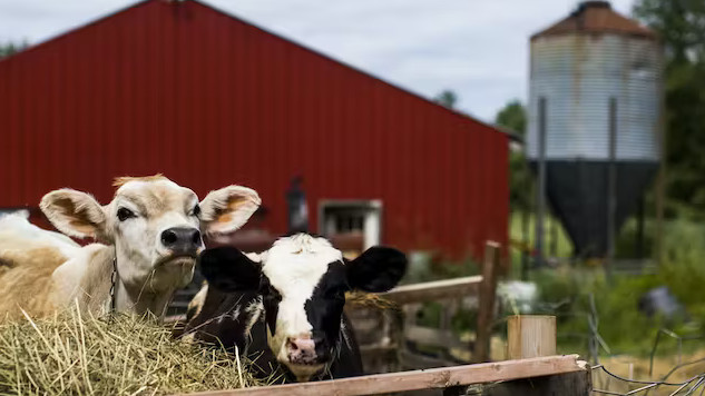 Understanding PFAS Forevever Chemicals and Their Dangers PFAS and health2 7 25