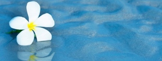 A Voice from the Ashes: Billy Reaches Out From the Afterlife A Voice from the Ashes: Billy Reaches Out From the Afterlife