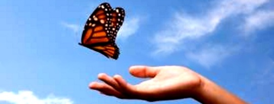 Letting Go of Control & Following Your Spiritual Impulses Letting Go of Control & Following Your Spiritual Impulses