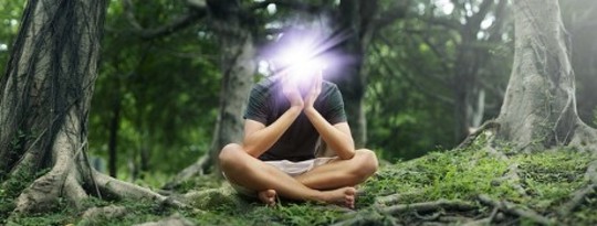 Madness as a Path to Hypersanity: Saving Us From Ecological Disaster Madness as a Path to Hypersanity: Saving Us From Ecological Disaster