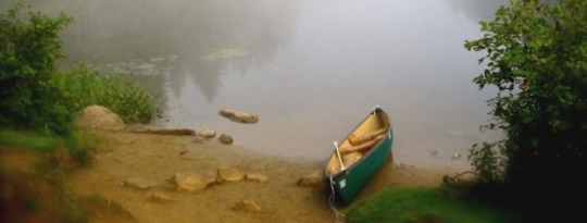 The Preciousness of Life by Joyce Vissell The Preciousness of Life by Joyce Vissell