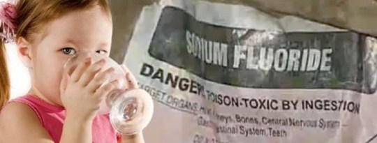 What's In Your Tap Water? What's In Your Tap Water?