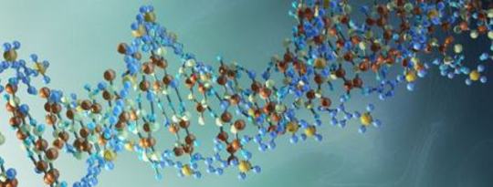 A Healing Experiment A Healing Experiment