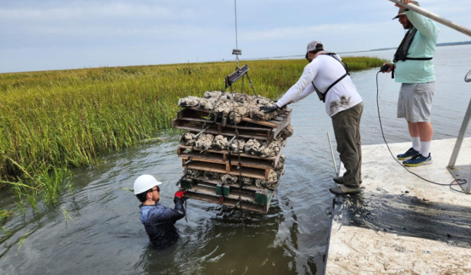 As the US Government Fails, the World Adapts to Climate Change