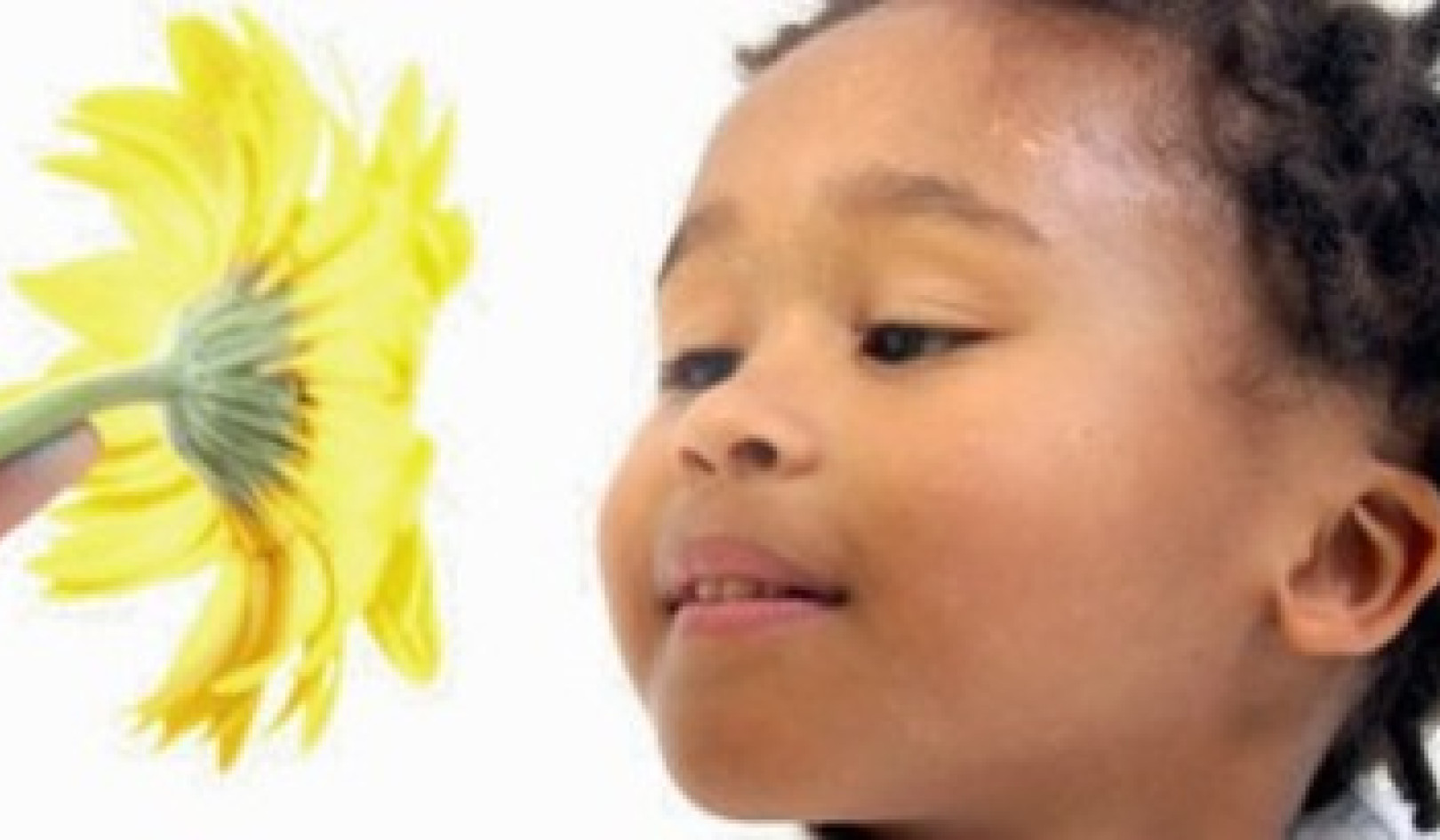 Building Relationships with Healing Herbs