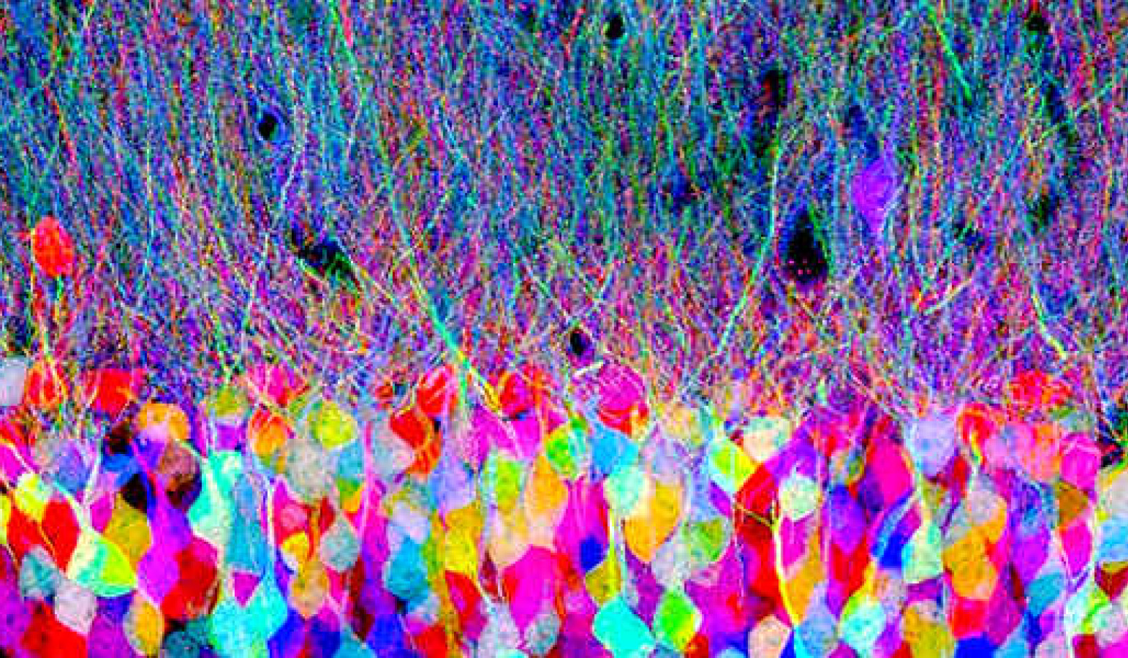 Meditation Practice for Connection and Inspiration