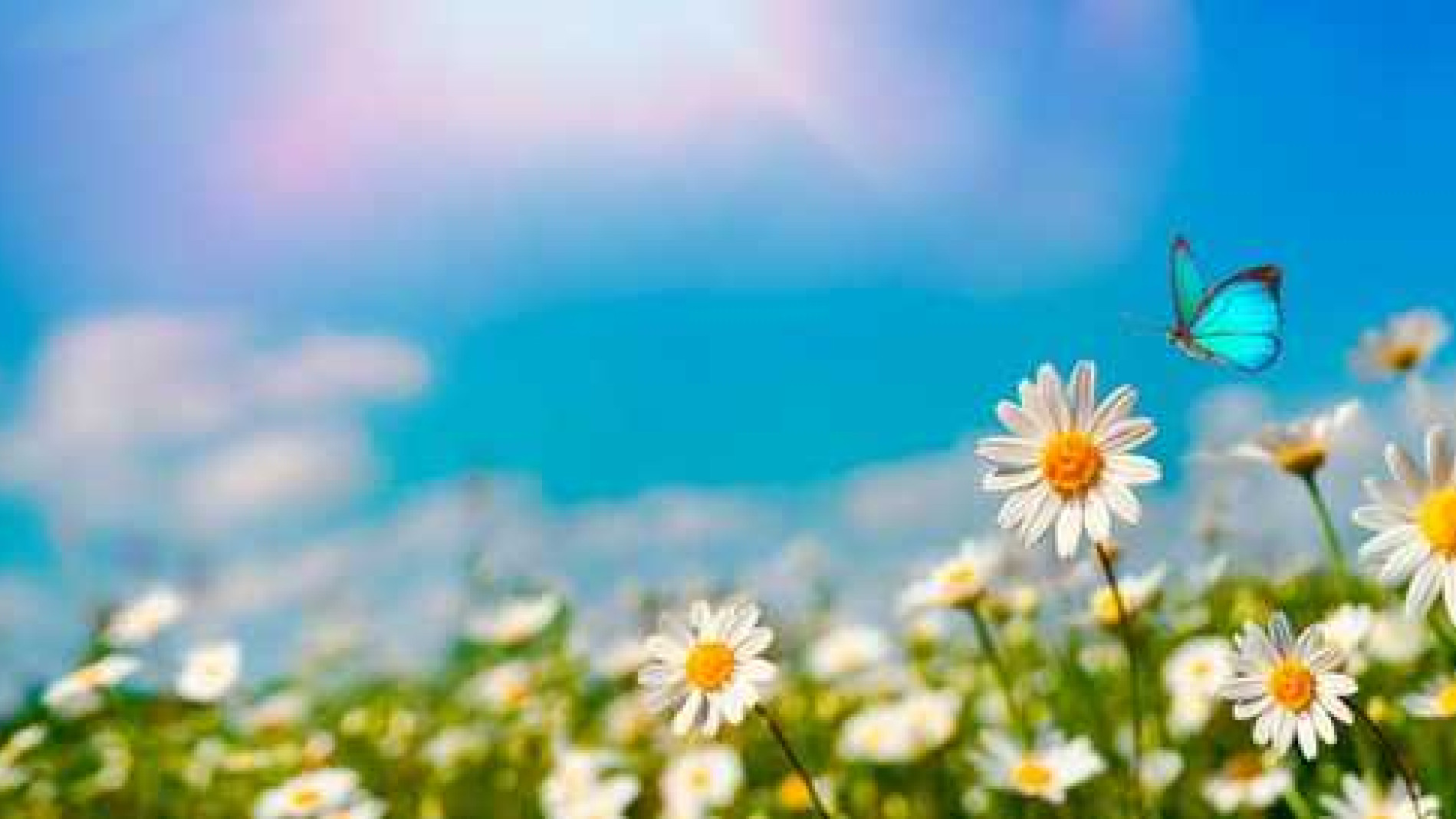 Finding Meaning in Life Through Transformational Experiences