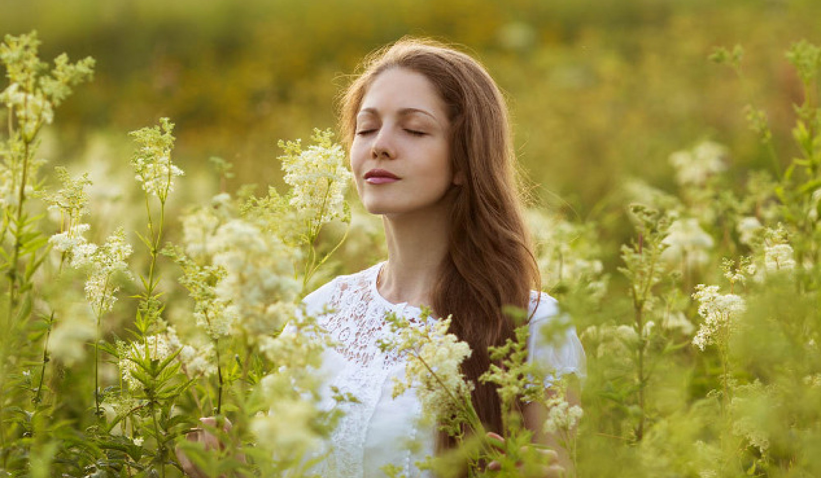 How Smells and Scents Rewire the Brain and Well-Being