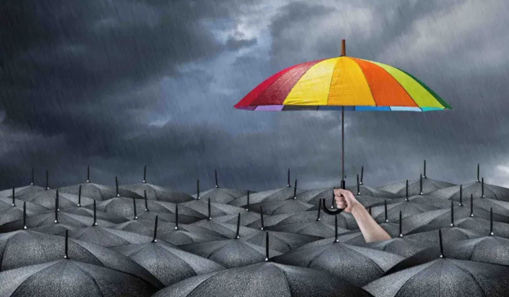 Exploring Reality: Optimism vs. Skepticism