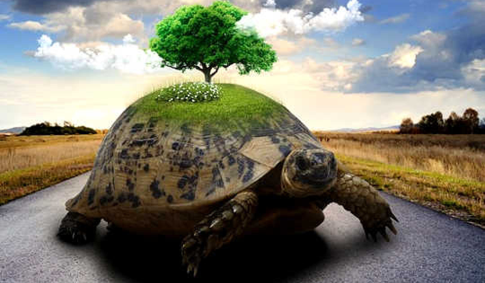 How Big Are You Willing to Be? Unlocking Your Personal Power