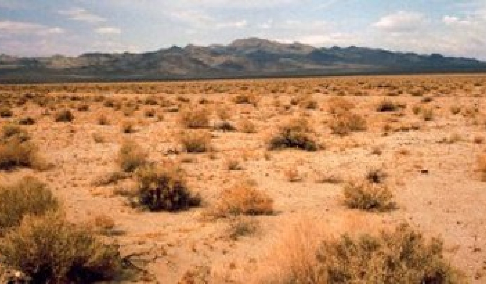 Holistic Management: A Solution to Desertification