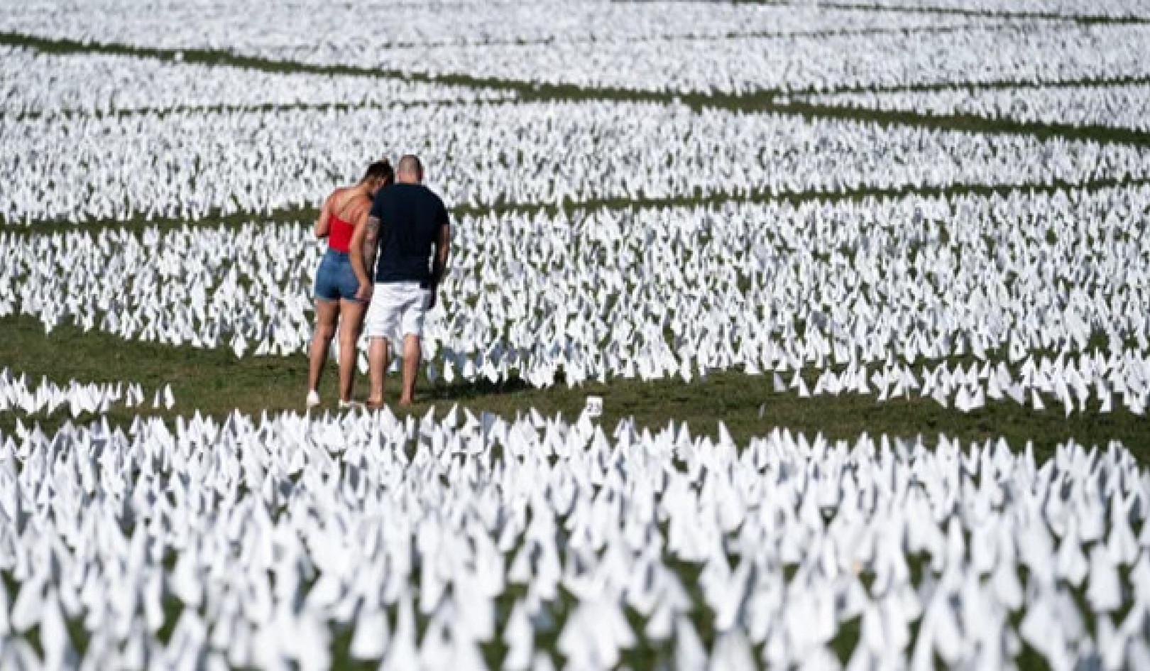 New Research: The Cost of Avoidable Tragedies