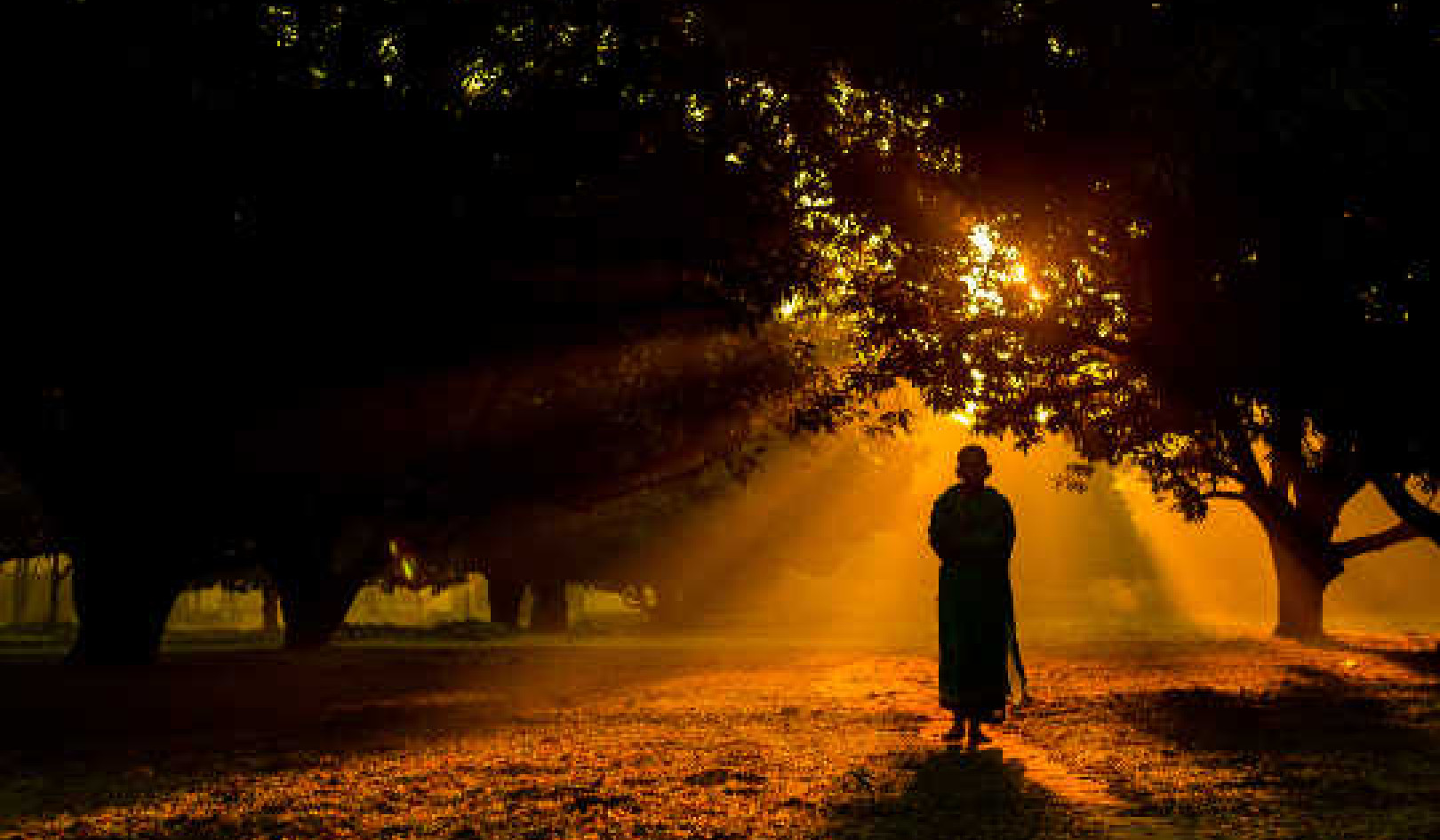 Navigating the Journey to Personal Spiritual Truth