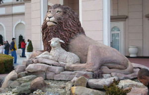 Transforming Perception: From Fear to Harmony