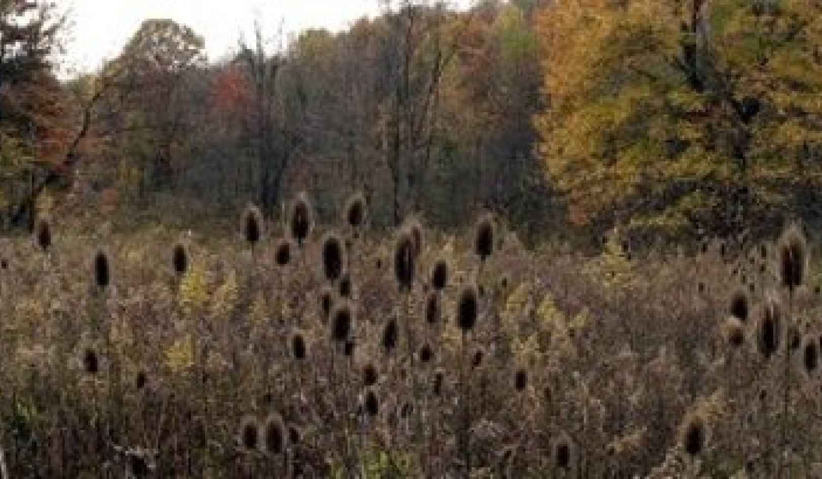 The Power of Sowing Positive Thoughts and Actions